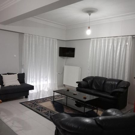 Spacious Apartment Anatoli Joánina Kültér fotó