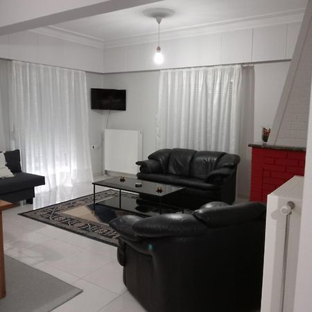 Spacious Apartment Anatoli Joánina Kültér fotó